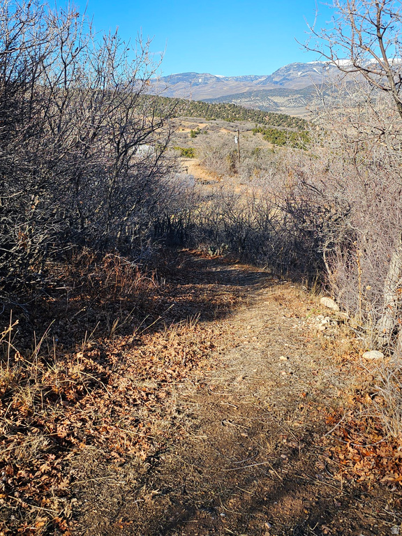 1064 E TABBY ACCESS RD Tabiona, UT 84072