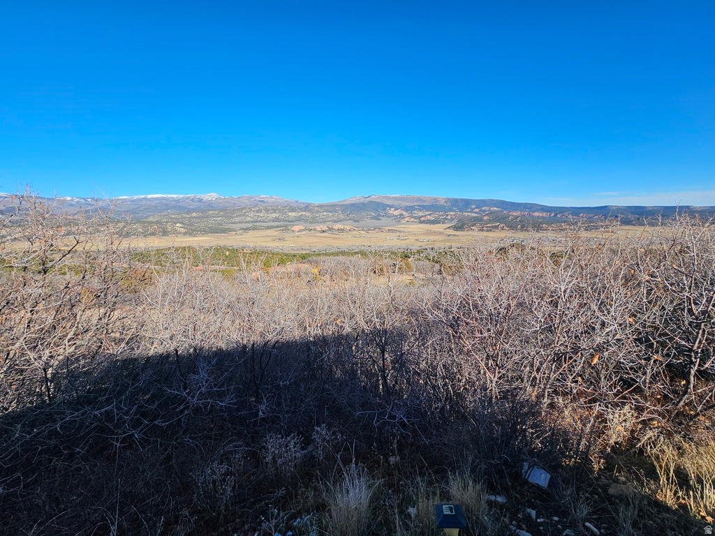 1064 E TABBY ACCESS RD Tabiona, UT 84072