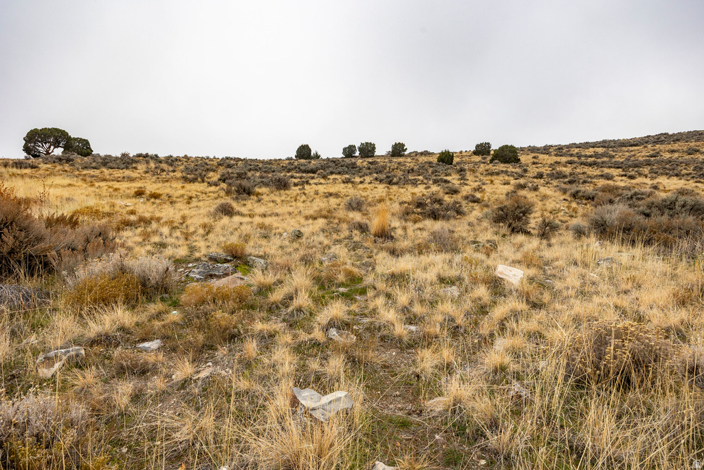 7745 N MOUNTAIN ASH WAY Eagle Mountain, UT 84005