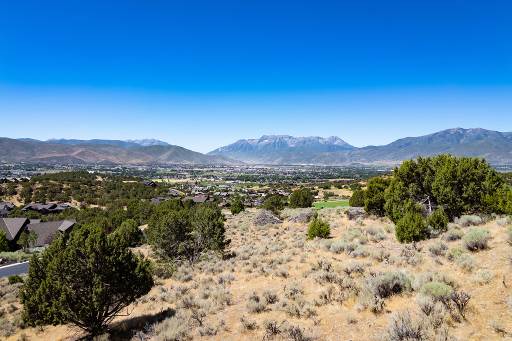 556 N IBAPAH PEAK DR Heber City, UT 84032