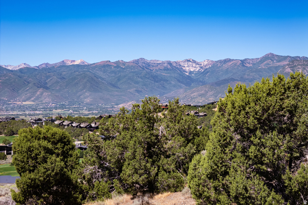 556 N IBAPAH PEAK DR Heber City, UT 84032