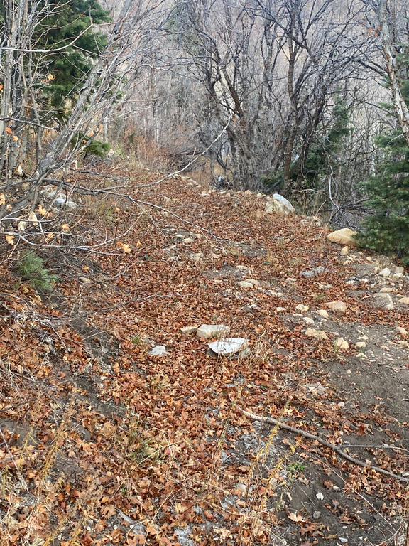 5946 E UPPER WHITMORE Springville, UT 84663