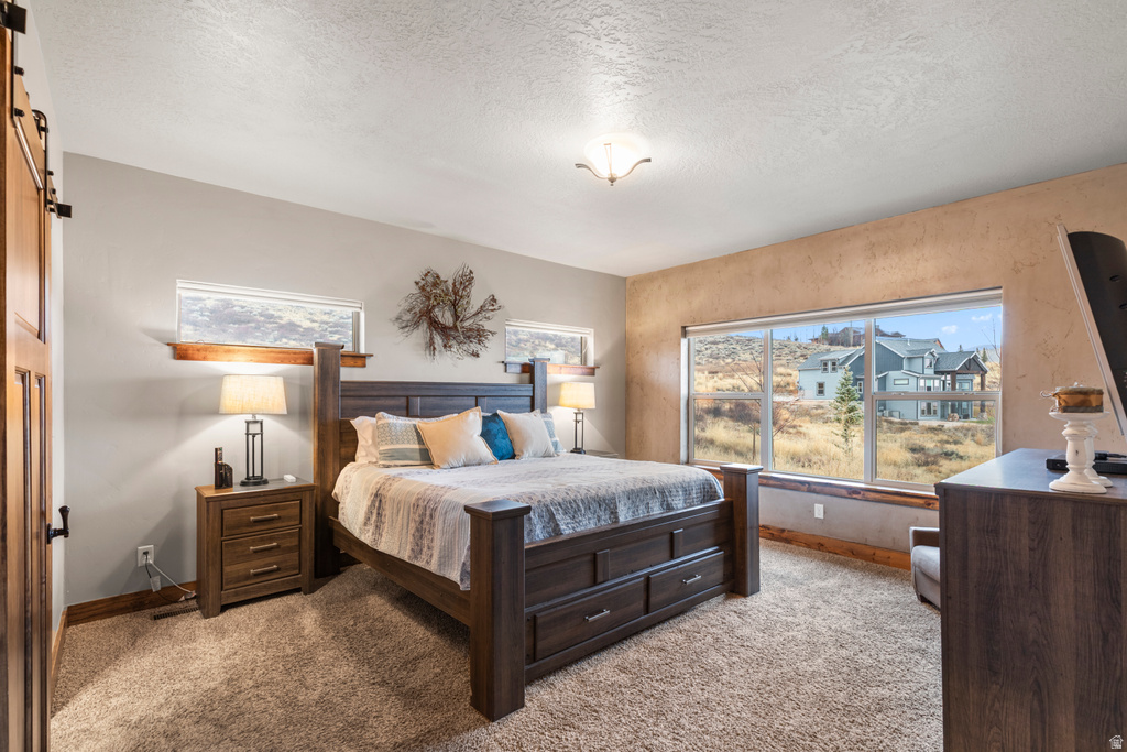 216 HAWKSBEARD CIR Fish Haven, ID 83287