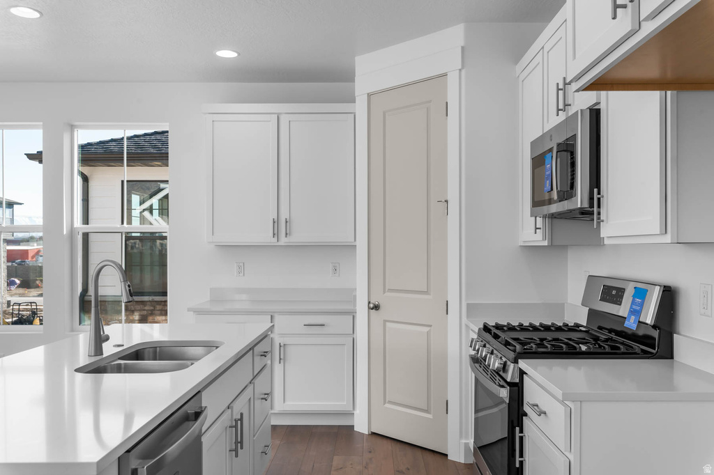 591 N BUFFALO GRASS LN Lindon, UT 84042