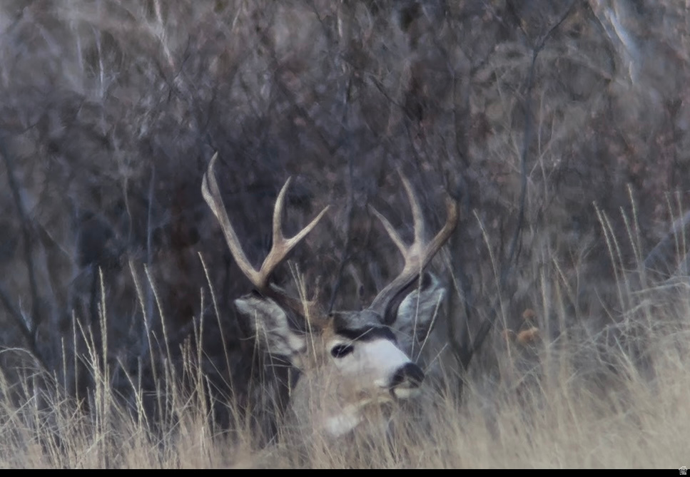  Malad City, ID 83252