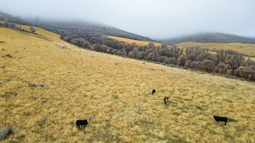  Malad City, ID 83252