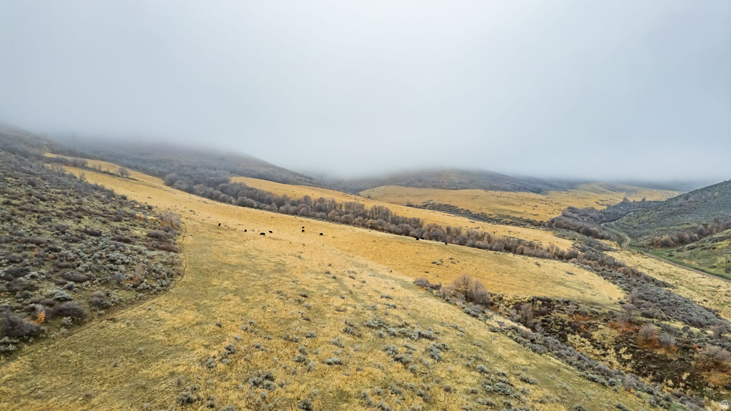  Malad City, ID 83252