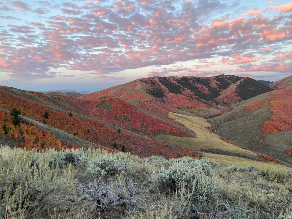  Malad City, ID 83252