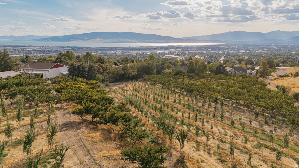 1515 E 200 S Pleasant Grove, UT 84062