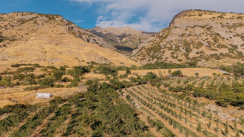 1515 E 200 S Pleasant Grove, UT 84062