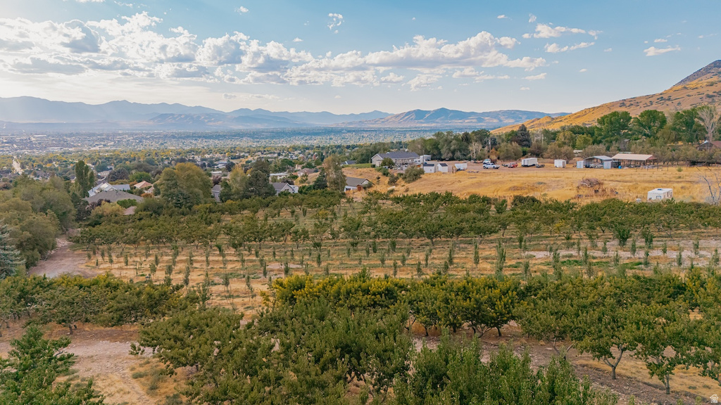 1515 E 200 S Pleasant Grove, UT 84062