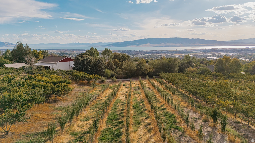 1515 E 200 S Pleasant Grove, UT 84062