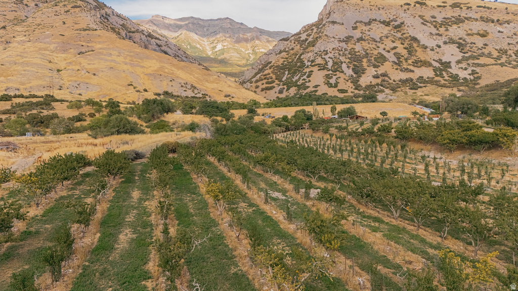 1515 E 200 S Pleasant Grove, UT 84062