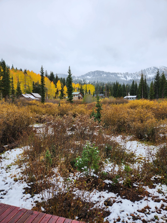 8101 S MILLICENTVIEW LN Brighton, UT 84121