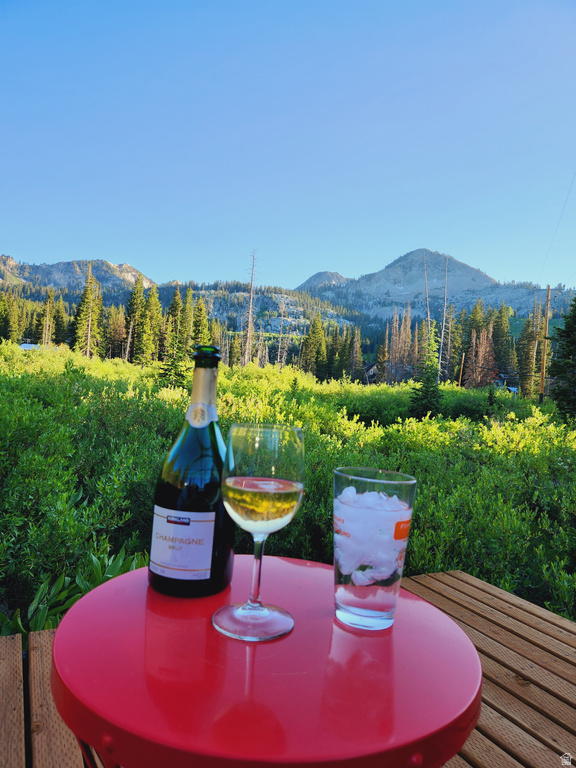 8101 S MILLICENTVIEW LN Brighton, UT 84121