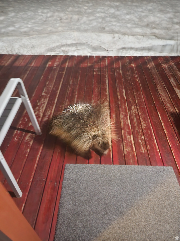 8101 S MILLICENTVIEW LN Brighton, UT 84121