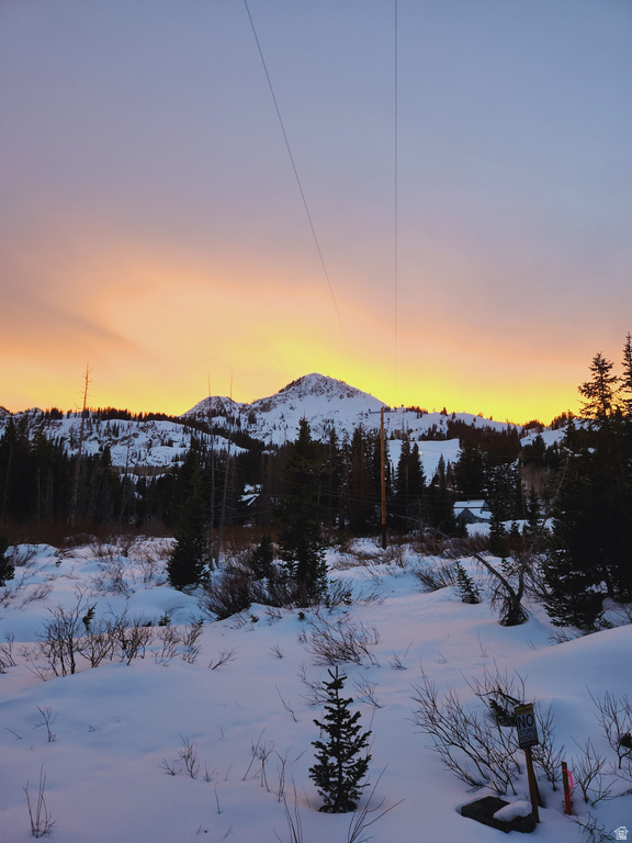 8101 S MILLICENTVIEW LN Brighton, UT 84121