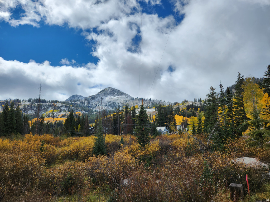 8101 S MILLICENTVIEW LN Brighton, UT 84121