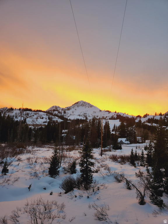 8101 S MILLICENTVIEW LN Brighton, UT 84121