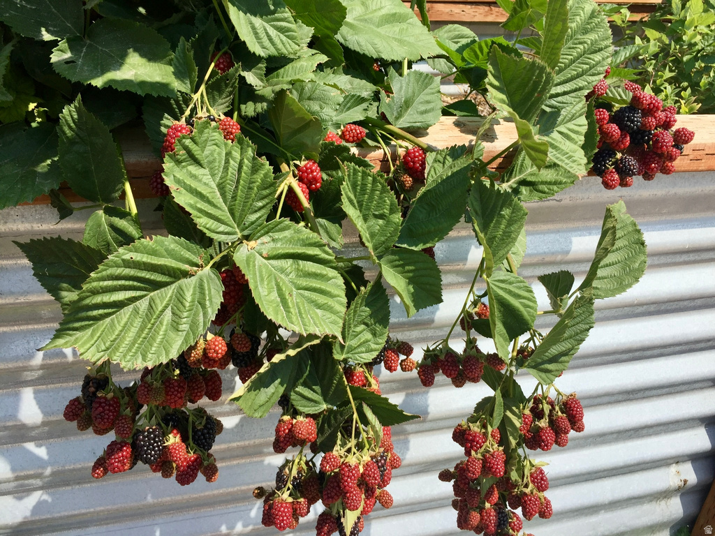 505 C ST Salt Lake City, UT 84103