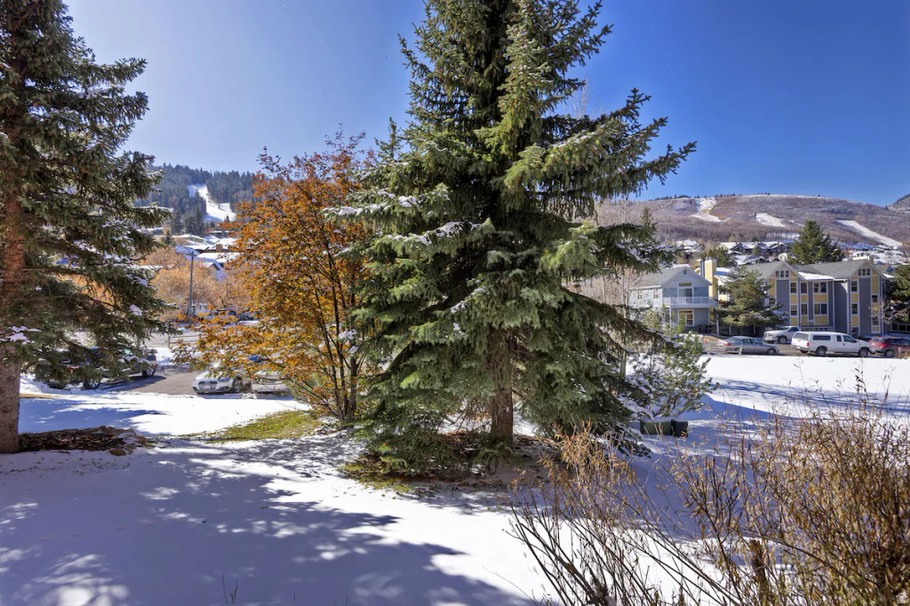 1000 PARK AVE #B-102 Park City, UT 84060