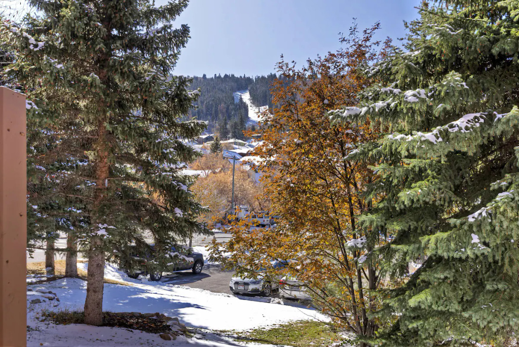 1000 PARK AVE #B-102 Park City, UT 84060