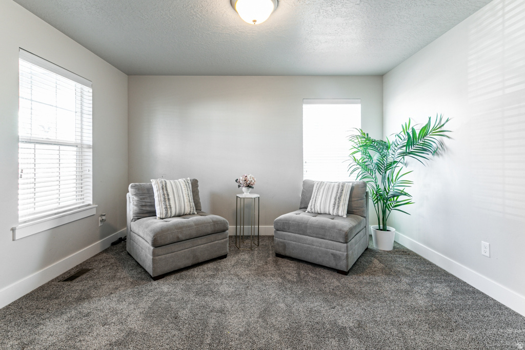 68 E ZINFANDEL LN Vineyard, UT 84059