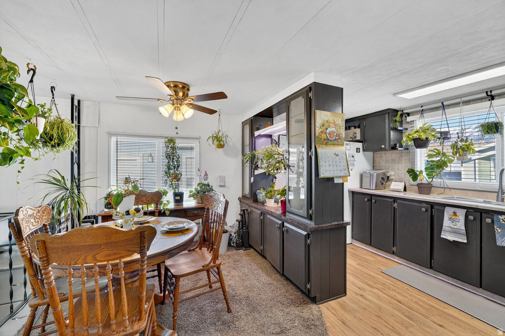 Dining area featuring plenty of natural light, light wood-style floors, and a ceiling fan