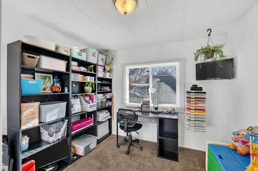 Office with dark carpet