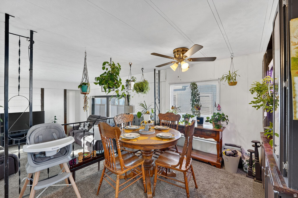 Carpeted dining area featuring ceiling fan