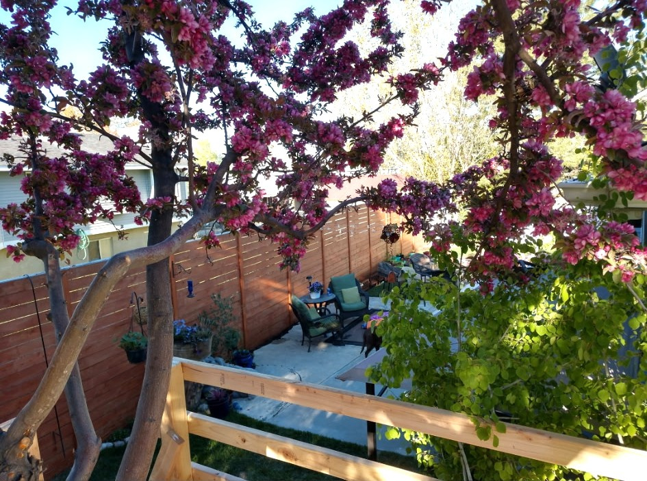 5798 W PLUMBAGO AVE Salt Lake City, UT 84118