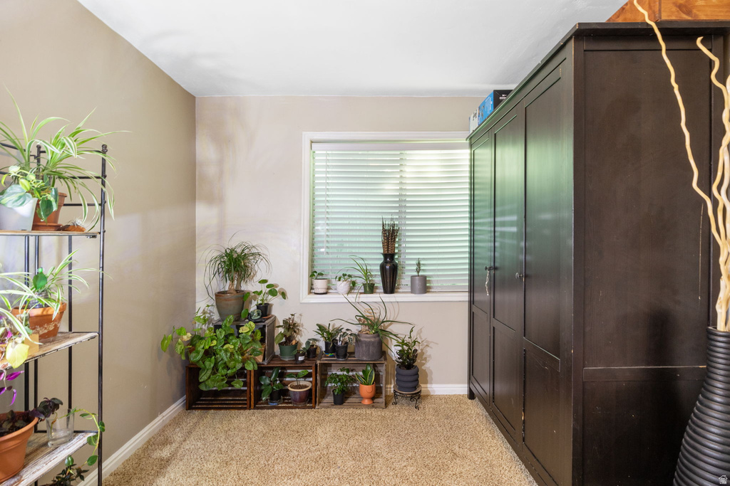 5798 W PLUMBAGO AVE Salt Lake City, UT 84118