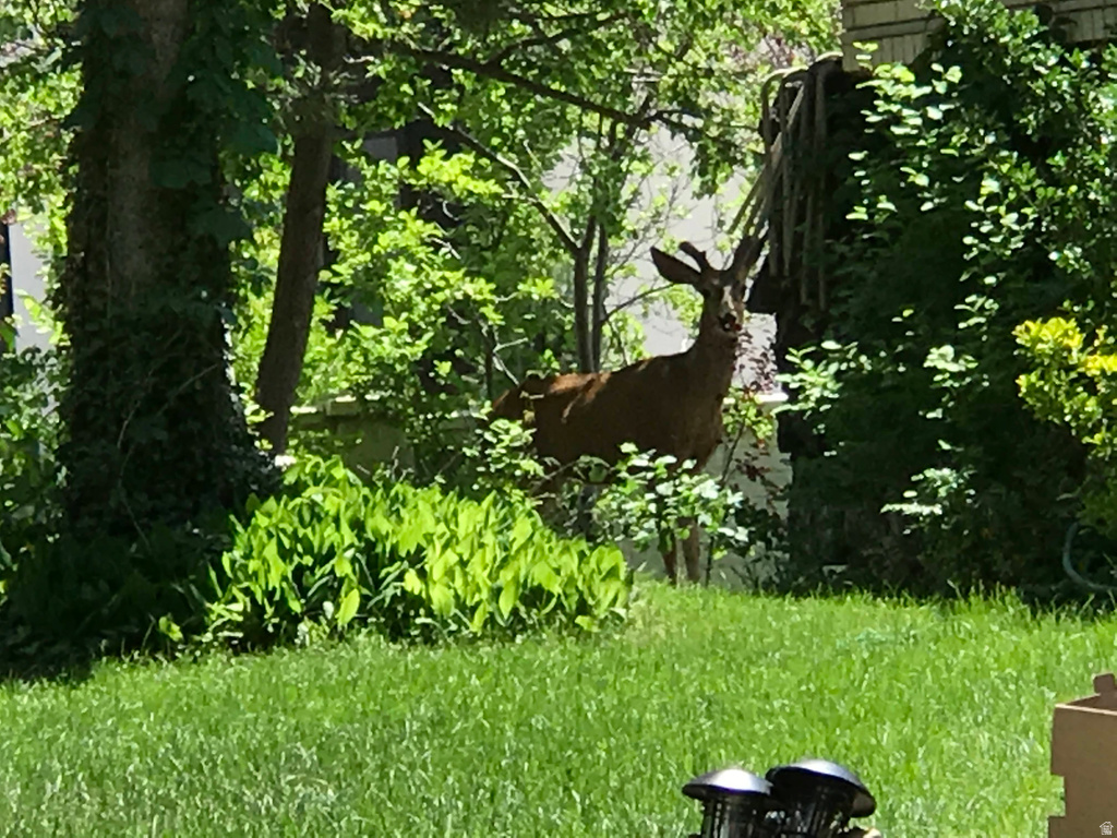 View photos for 2113 E Fardown Ave 2113 E Fardown Ave