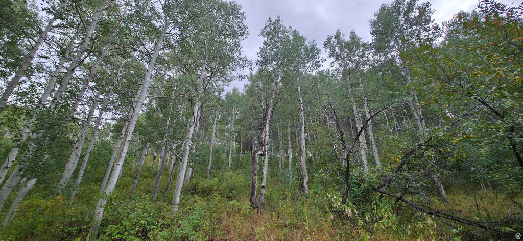  Spanish Fork, UT 84660