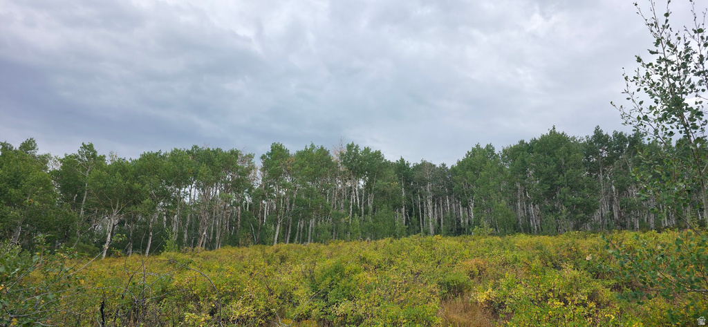  Spanish Fork, UT 84660