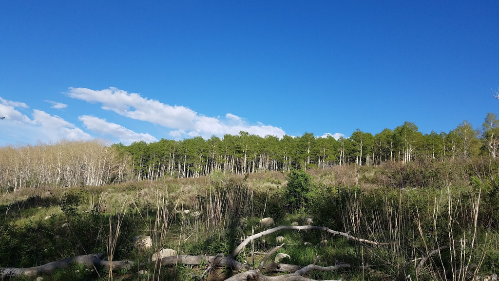  Spanish Fork, UT 84660