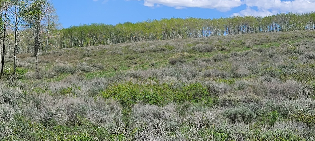  Spanish Fork, UT 84660