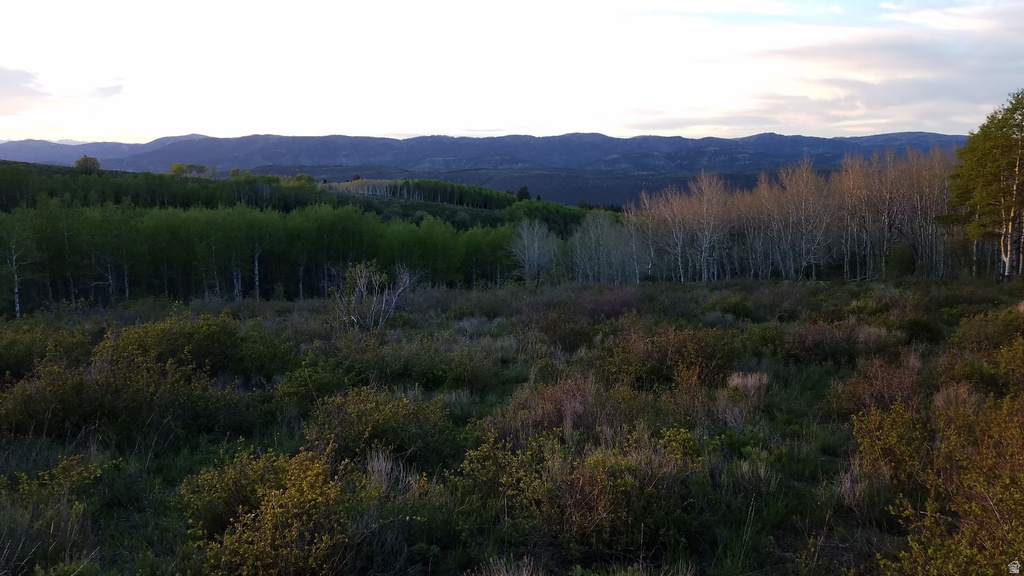  Spanish Fork, UT 84660