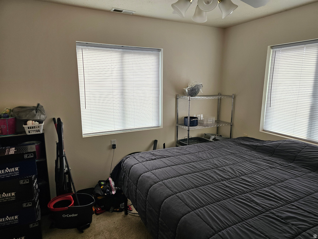 600 W CANYON LN Ferron, UT 84523