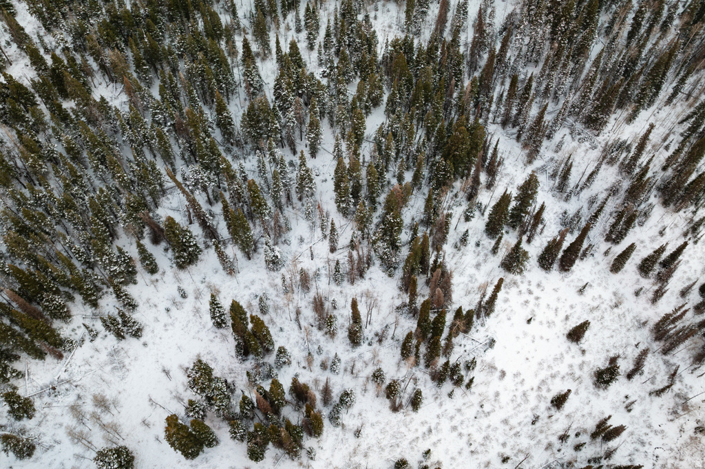 1065 BEAVER CIR Coalville, UT 84017