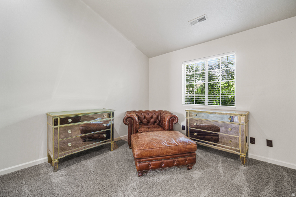 2050 W CANYON VIEW DR #21 St George, UT 84770