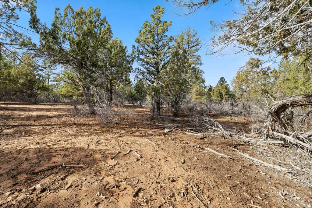 15  PINE ST Orderville, UT 84758