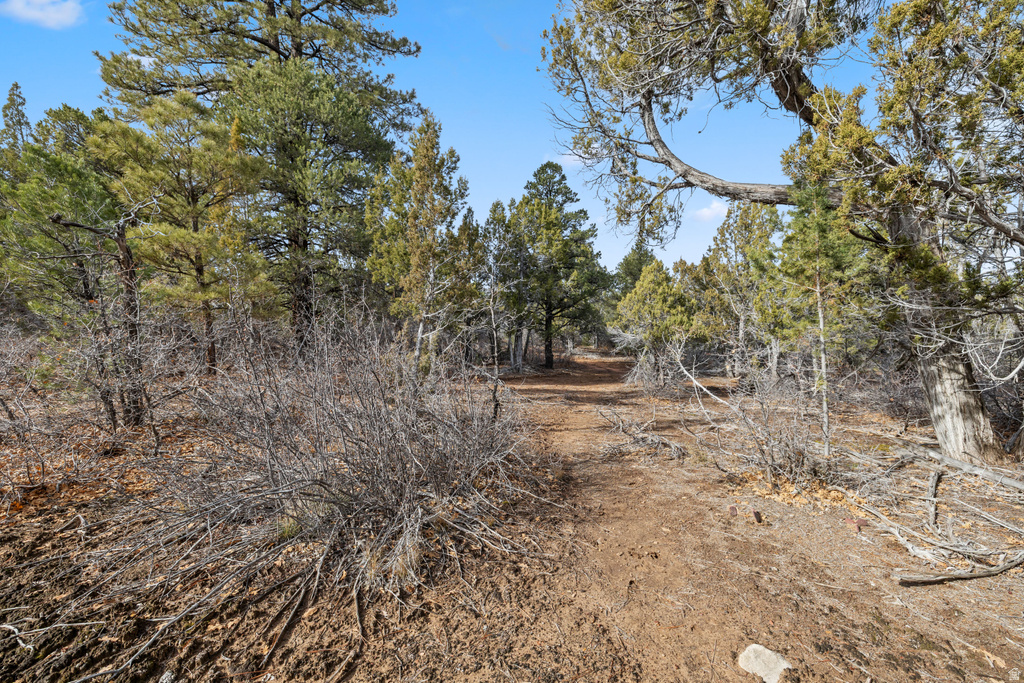 15  PINE ST Orderville, UT 84758