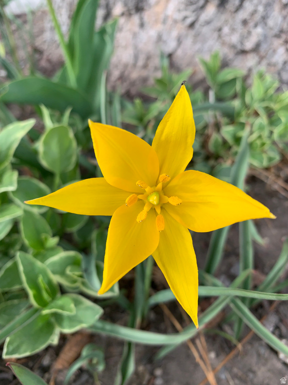 74 W MAIN ST Grantsville, UT 84029