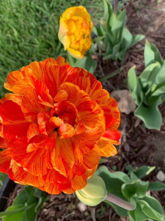 74 W MAIN ST Grantsville, UT 84029