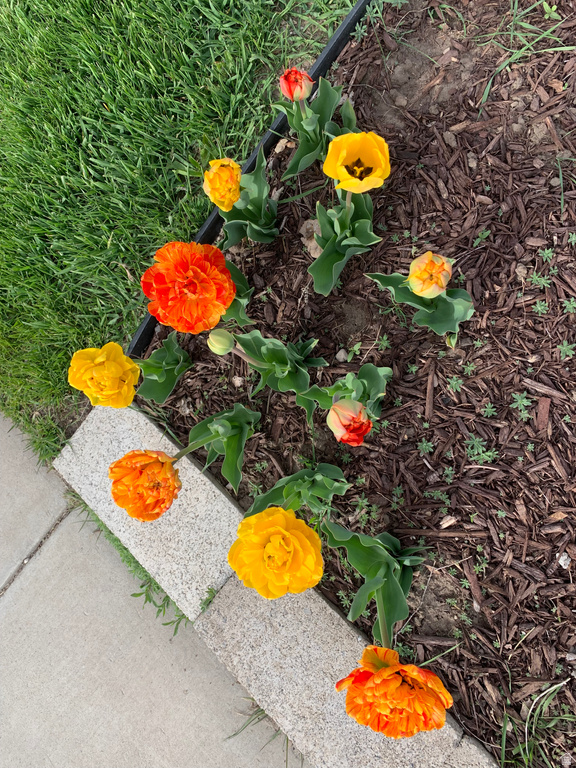 74 W MAIN ST Grantsville, UT 84029