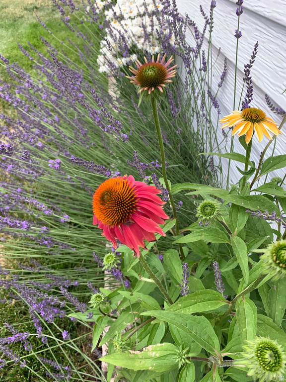 74 W MAIN ST Grantsville, UT 84029