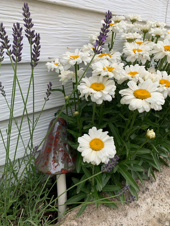 74 W MAIN ST Grantsville, UT 84029