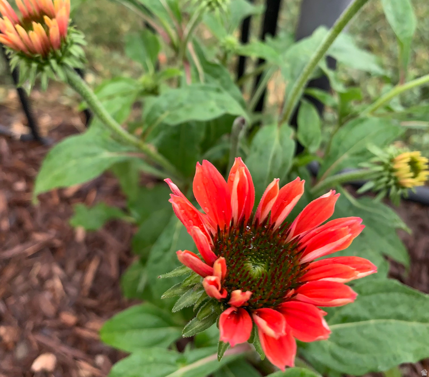 74 W MAIN ST Grantsville, UT 84029