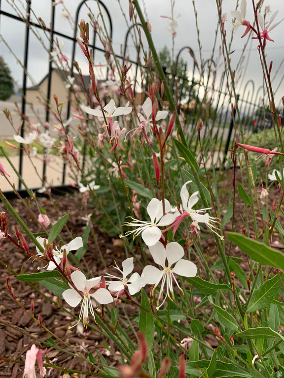 74 W MAIN ST Grantsville, UT 84029